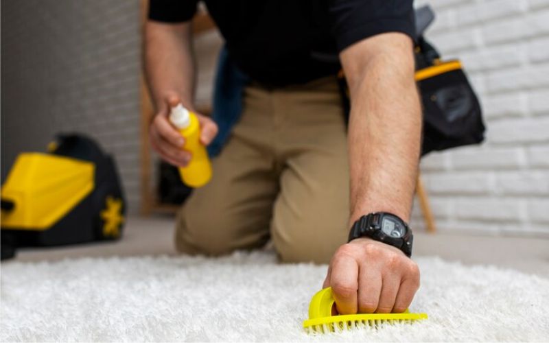 Halılarınızda Biriken Kir ve Bakterilere Karşı Derinlemesine Temizlik